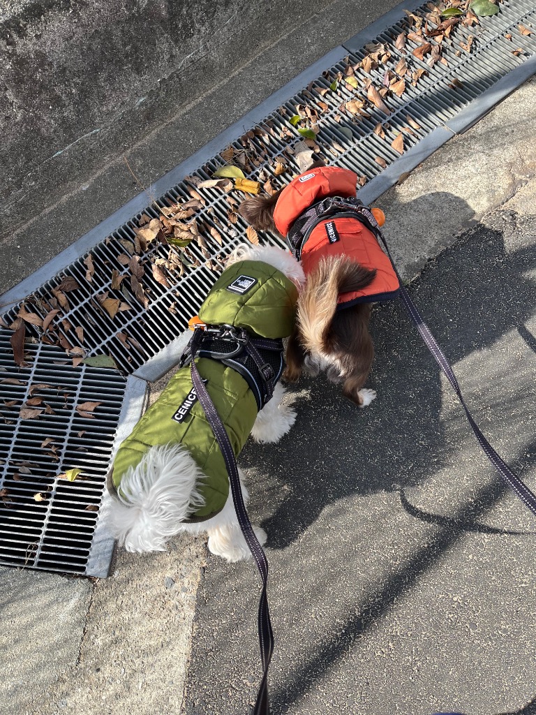 全体のレビュー画像 | 5-0