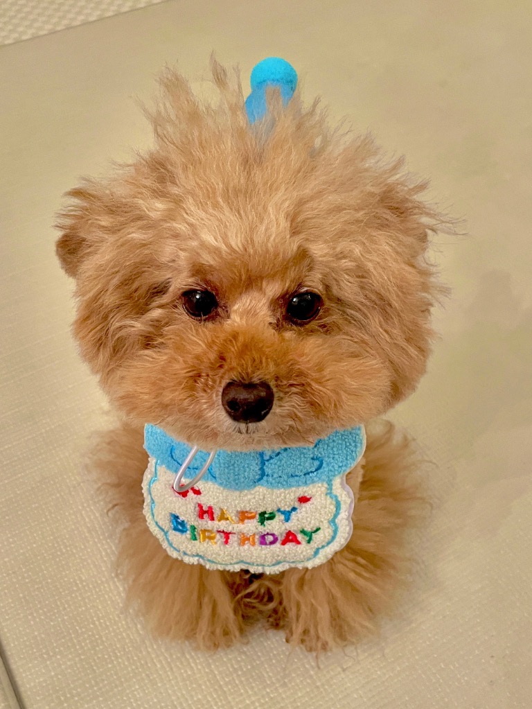 全体のレビュー画像 | 3-0