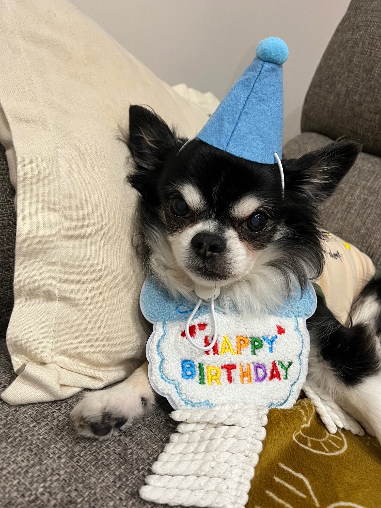 全体のレビュー画像 | 8-0