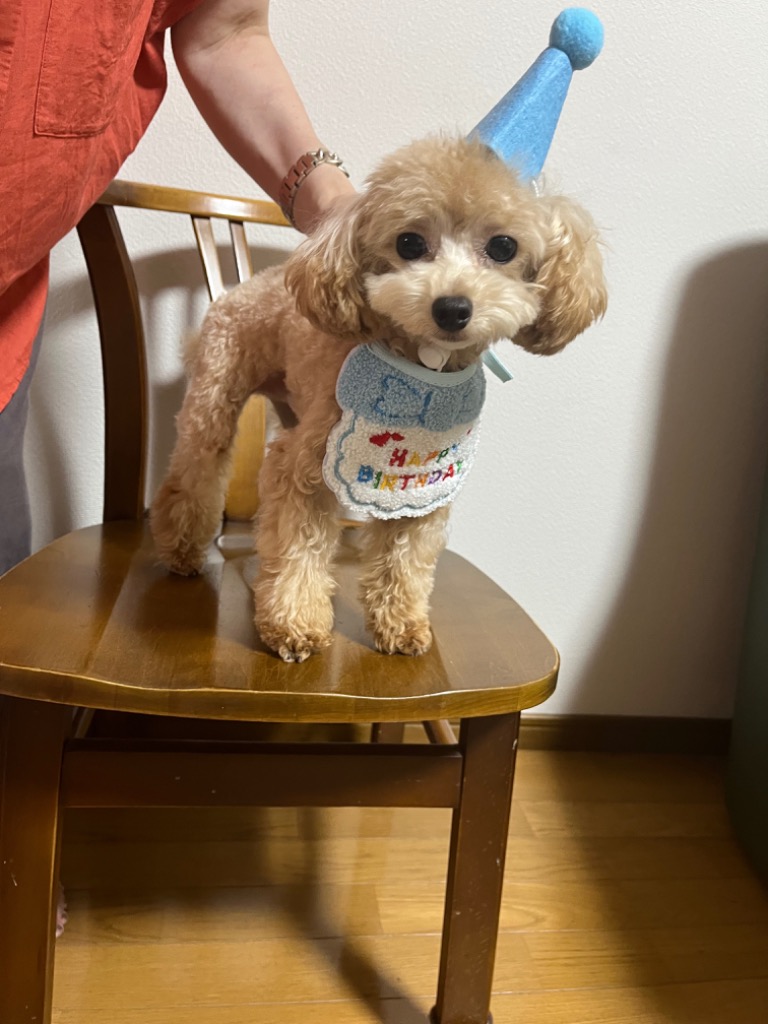 全体のレビュー画像 | 11-0