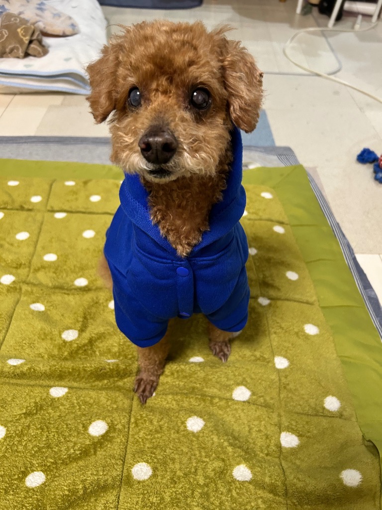 全体のレビュー画像 | 0-0