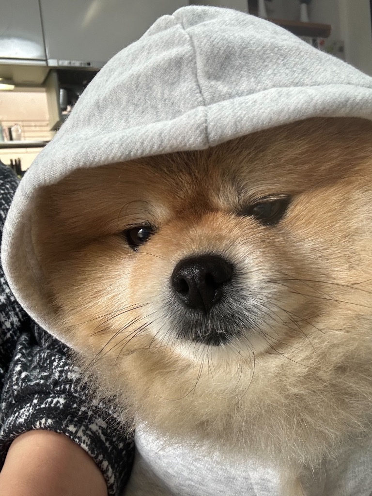 全体のレビュー画像 | 1-0