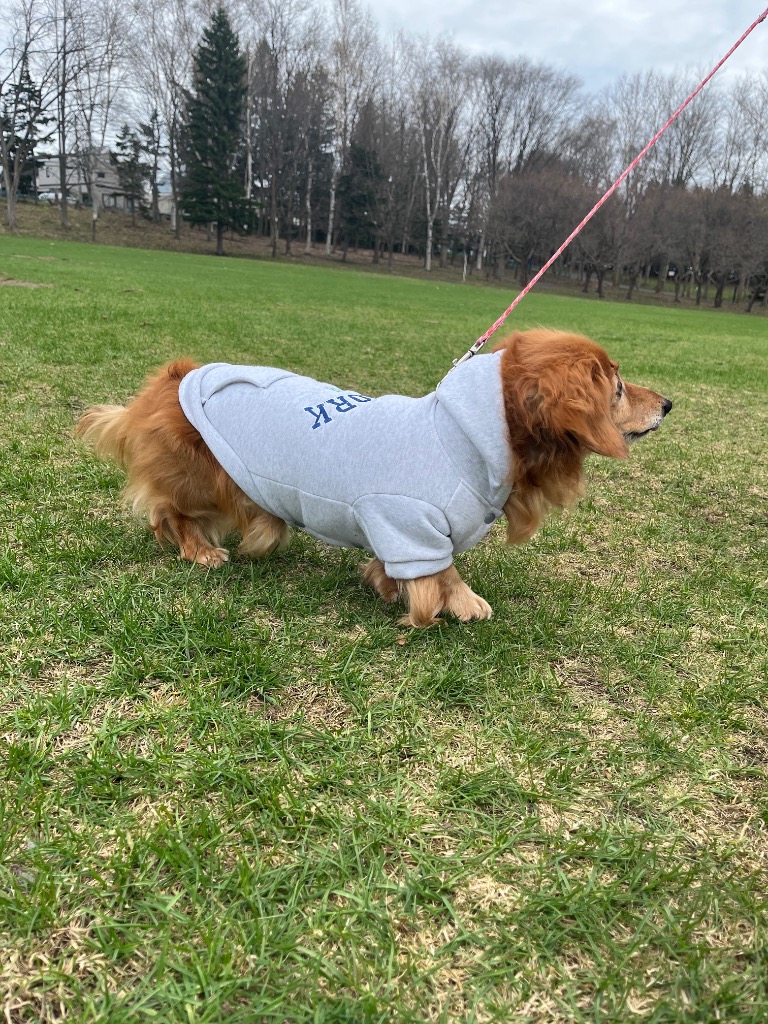 全体のレビュー画像 | 9-0