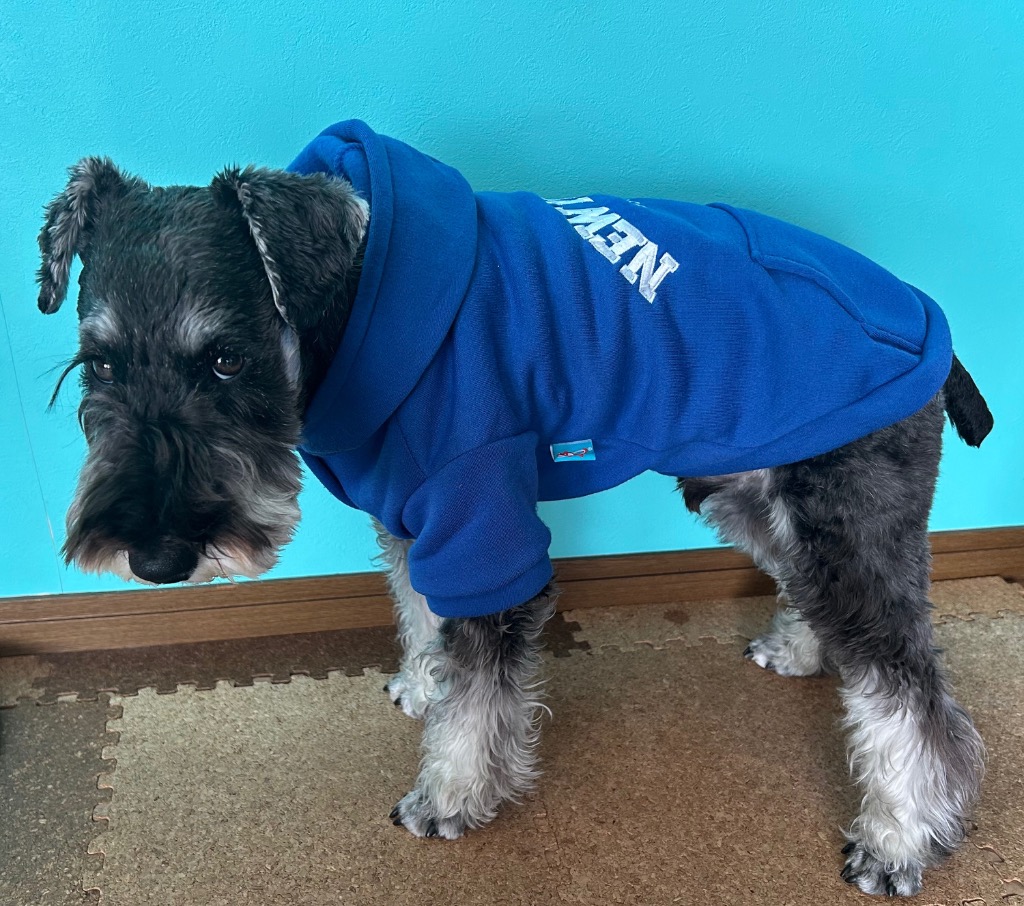 4件目のレビュー画像 | 1