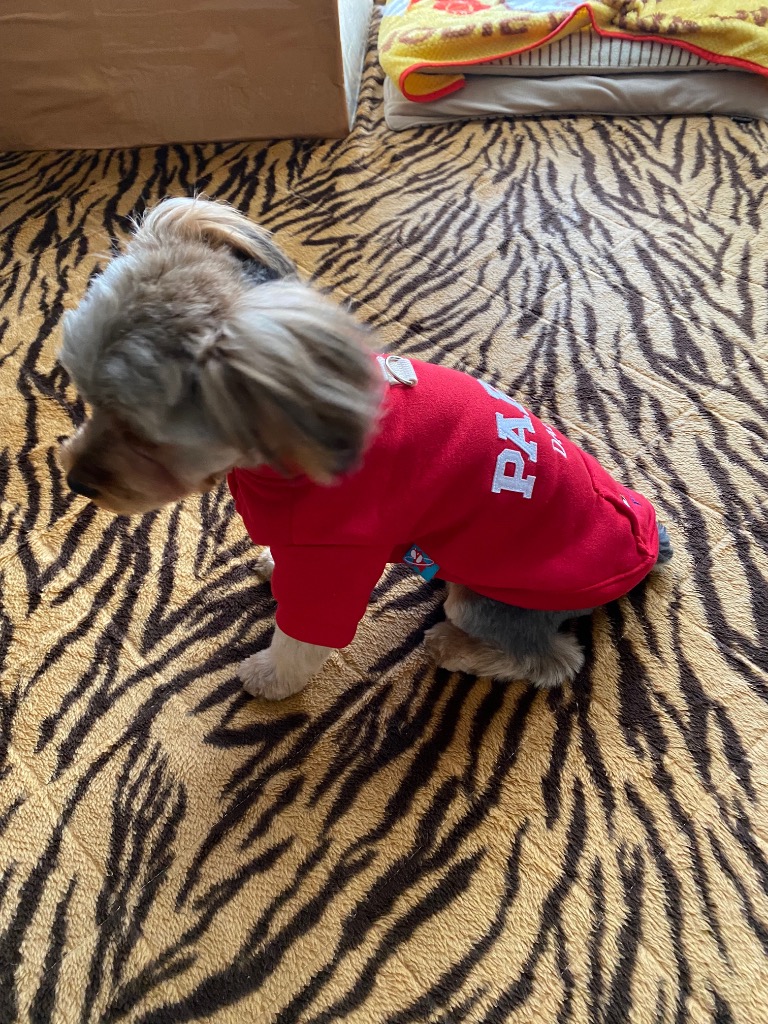 全体のレビュー画像 | 0-0