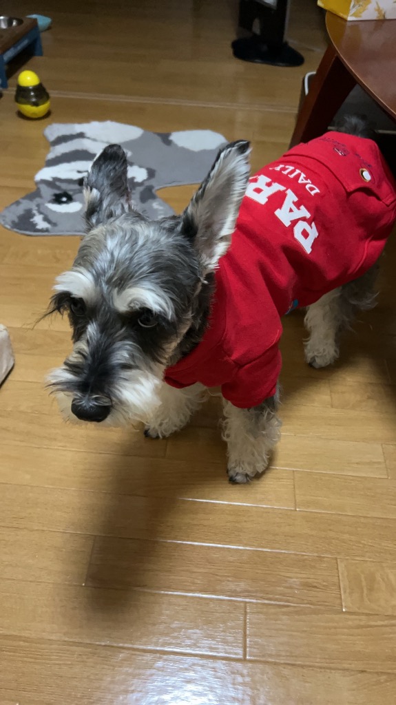 全体のレビュー画像 | 8-1