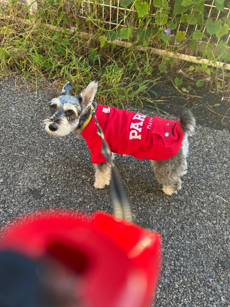 全体のレビュー画像 | 8-0