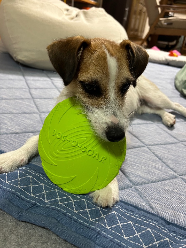 全体のレビュー画像 | 2-0