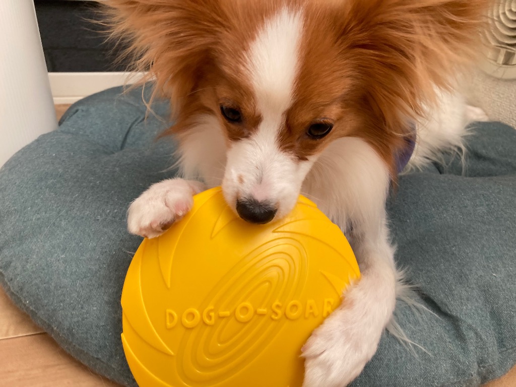 全体のレビュー画像 | 3-0