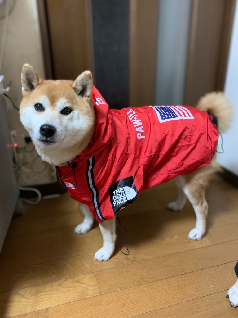 全体のレビュー画像 | 9-0