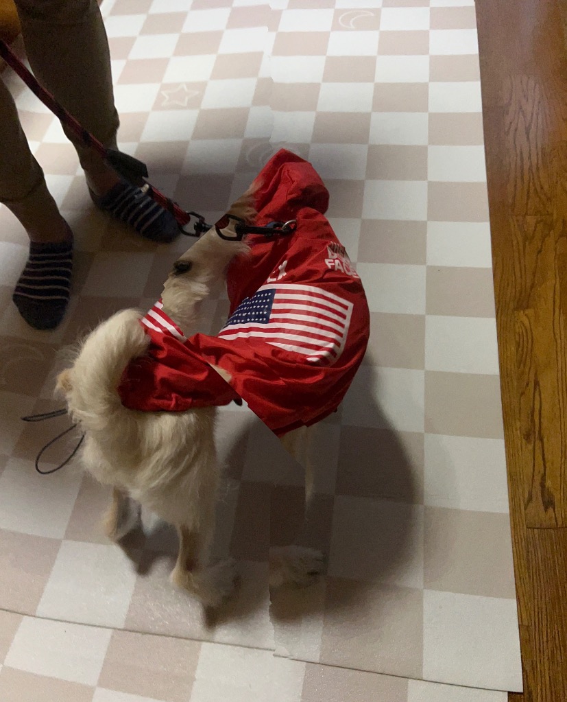 全体のレビュー画像 | 0-1