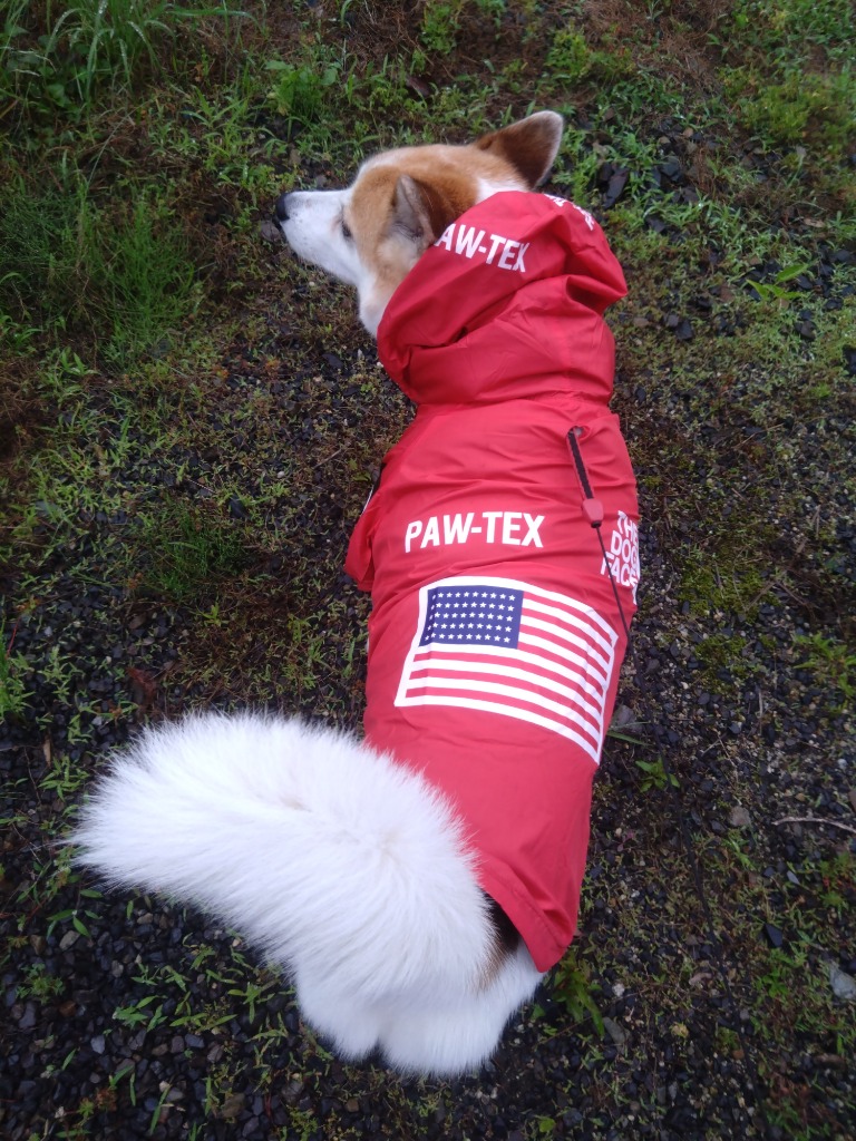 全体のレビュー画像 | 2-0