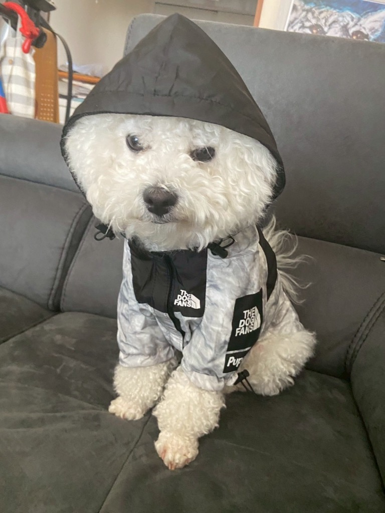 全体のレビュー画像 | 5-0