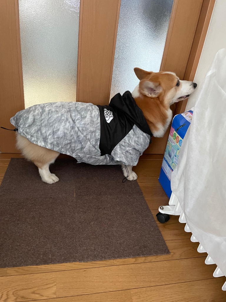 全体のレビュー画像 | 4-0