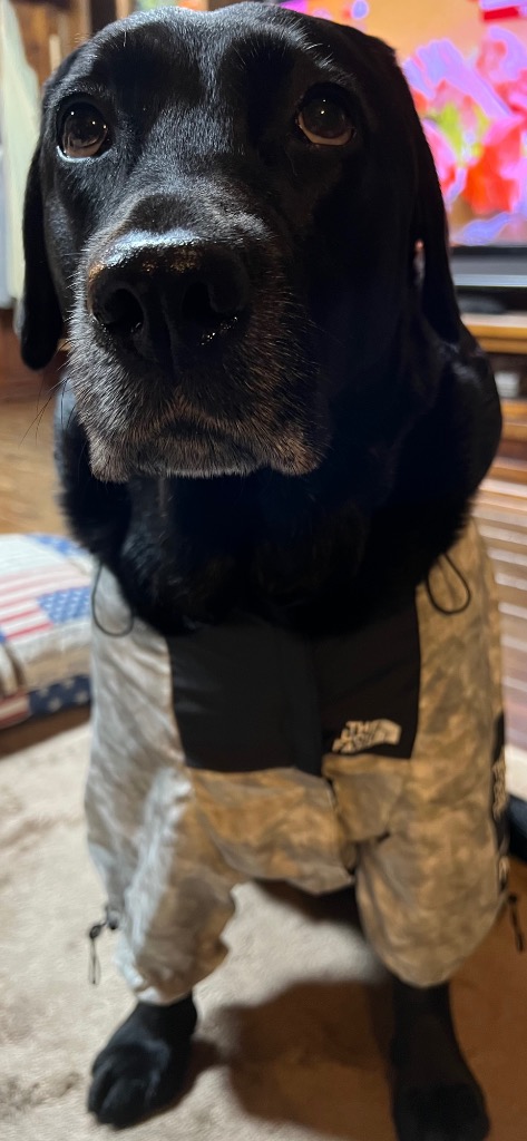 全体のレビュー画像 | 6-1