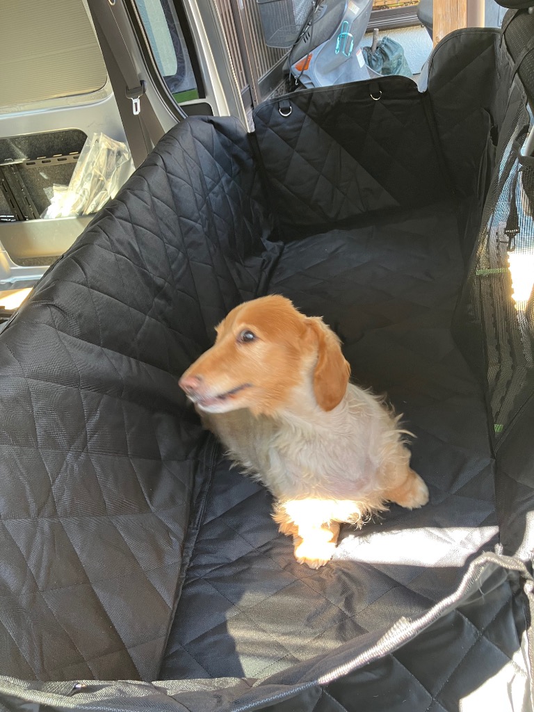 全体のレビュー画像 | 1-1