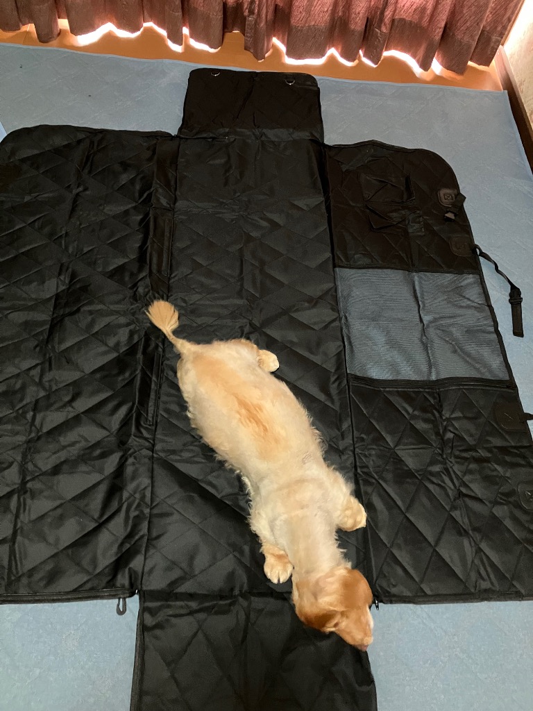 全体のレビュー画像 | 1-0