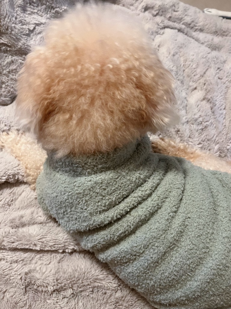 全体のレビュー画像 | 4-0