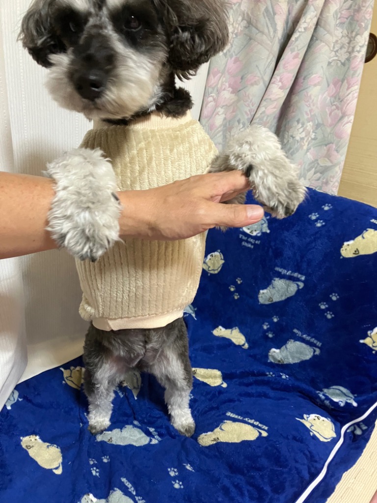 全体のレビュー画像 | 7-1