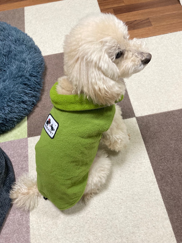 全体のレビュー画像 | 6-2