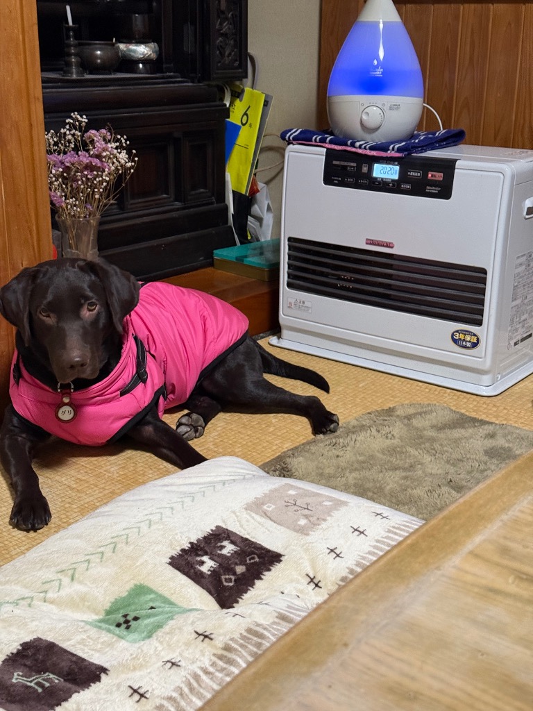 全体のレビュー画像 | 3-1