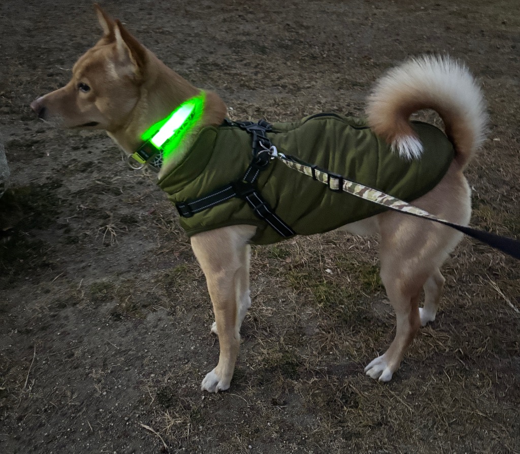 全体のレビュー画像 | 0-0