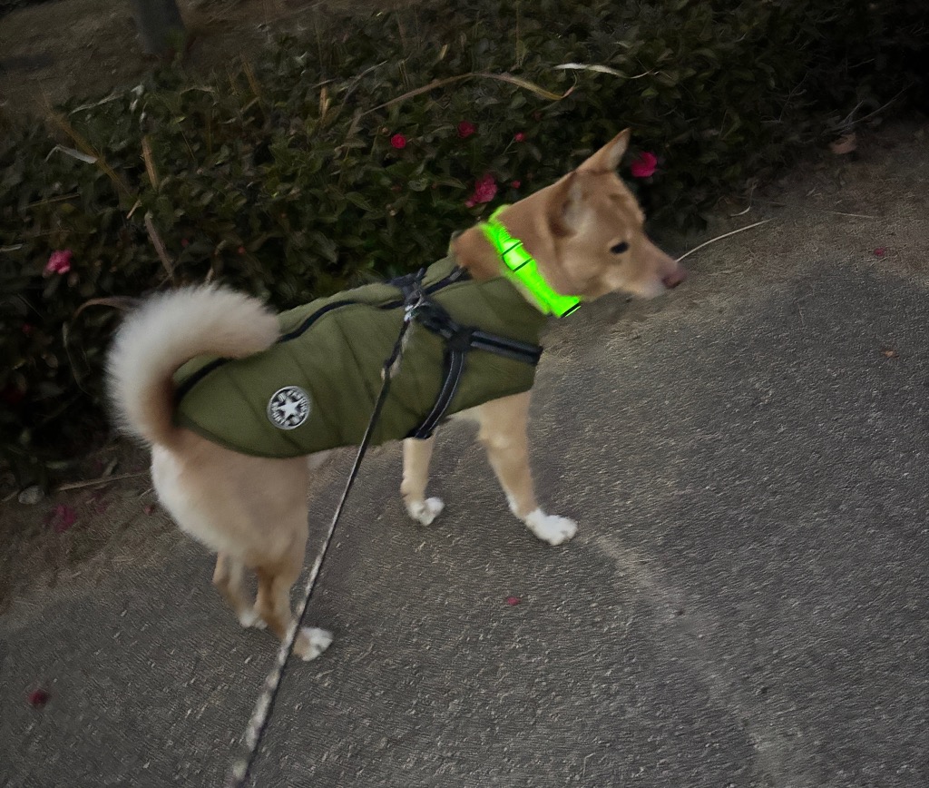 全体のレビュー画像 | 0-1