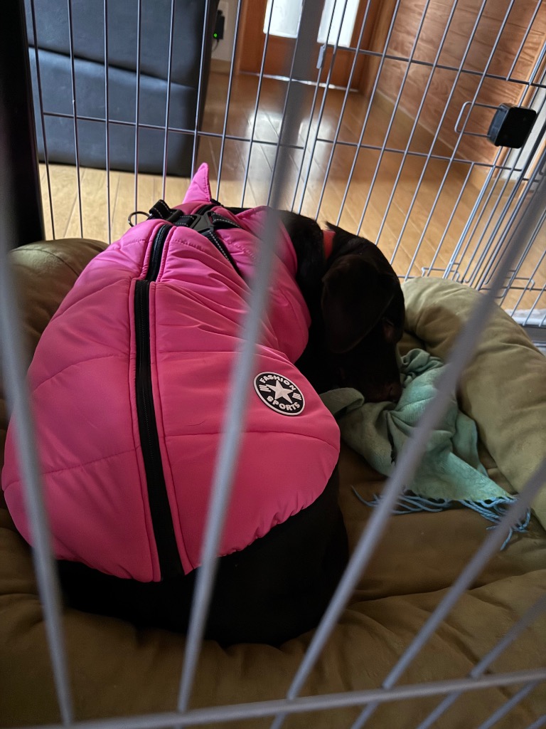 全体のレビュー画像 | 3-0