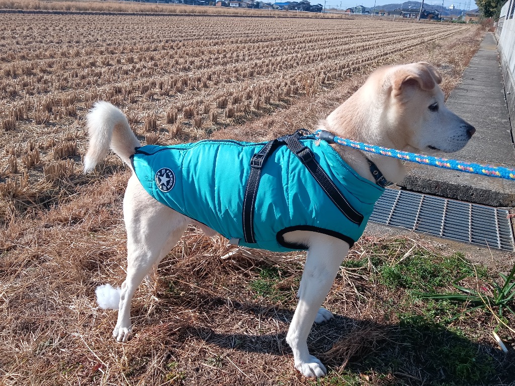 全体のレビュー画像 | 2-1