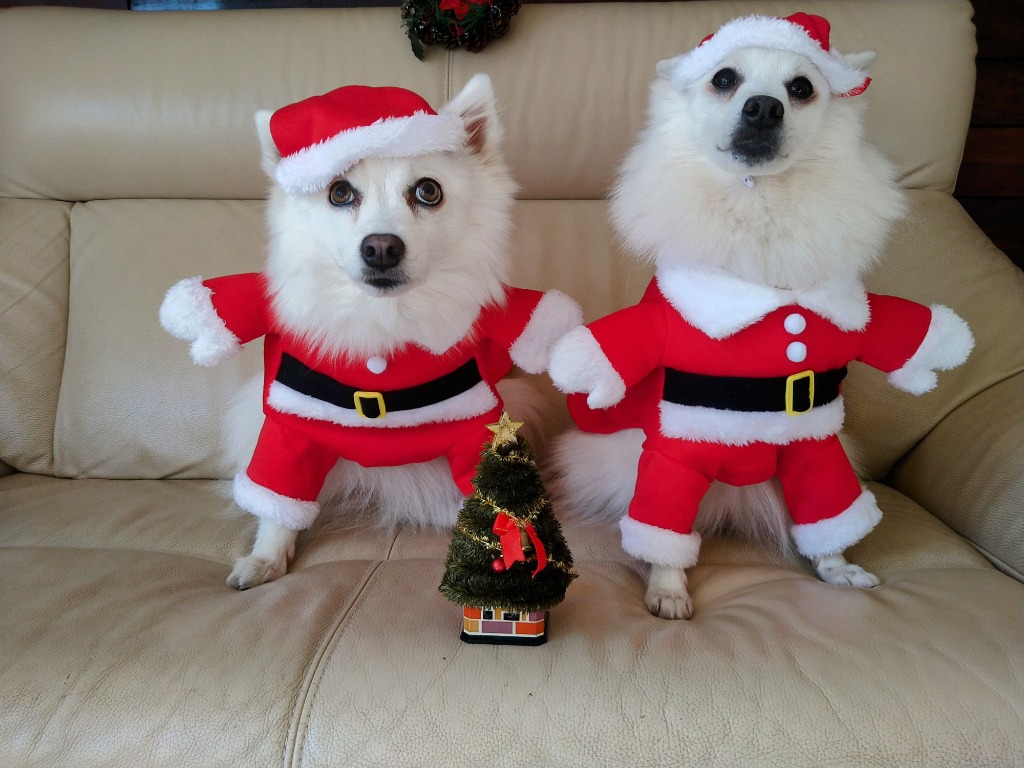 1件目のレビュー画像 | 0