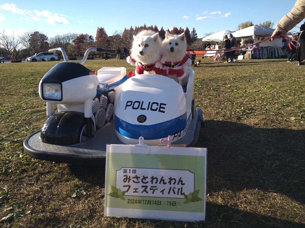 5件目のレビュー画像 | 0