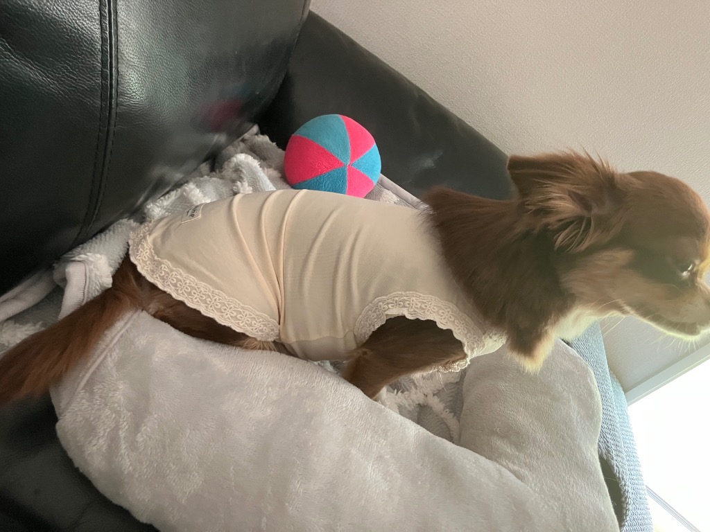 全体のレビュー画像 | 1-0