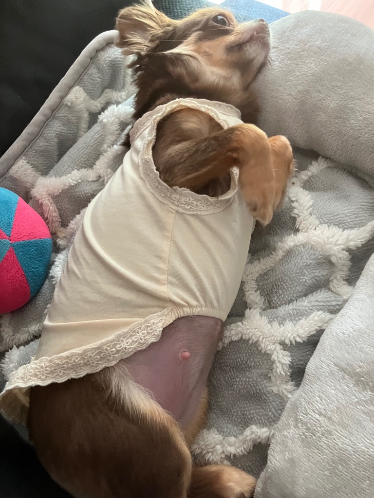 全体のレビュー画像 | 1-2