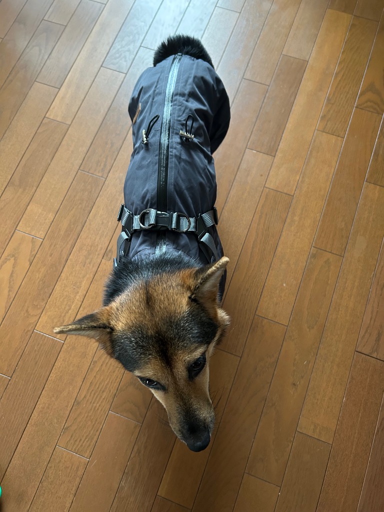 全体のレビュー画像 | 4-1