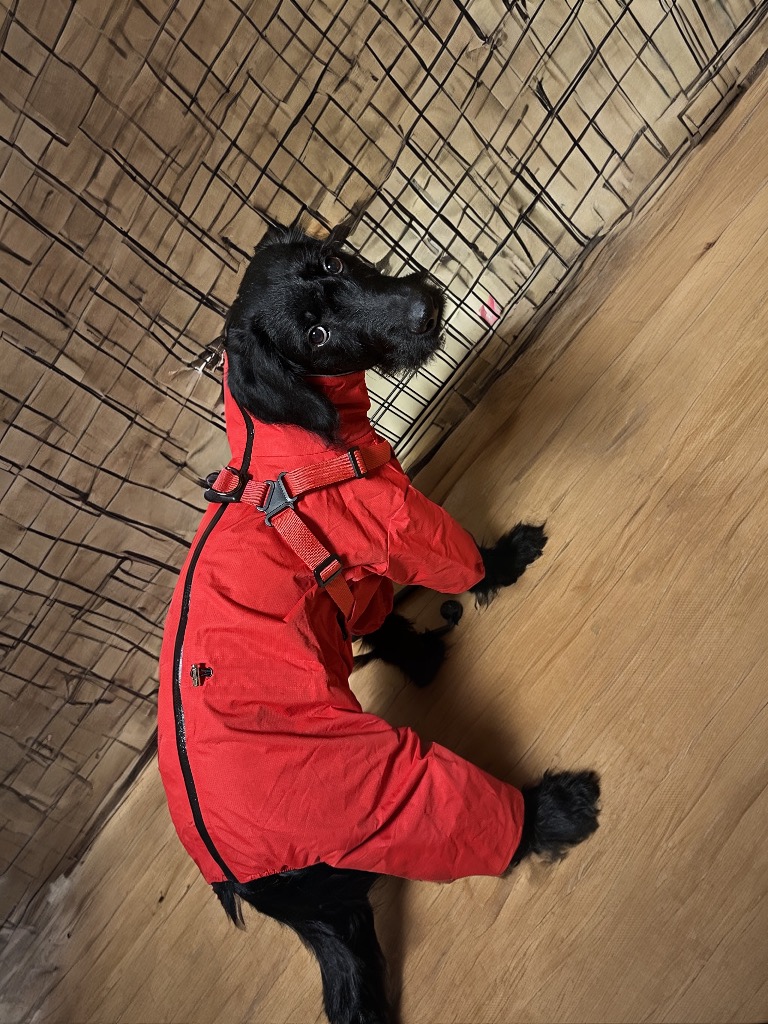 全体のレビュー画像 | 3-0