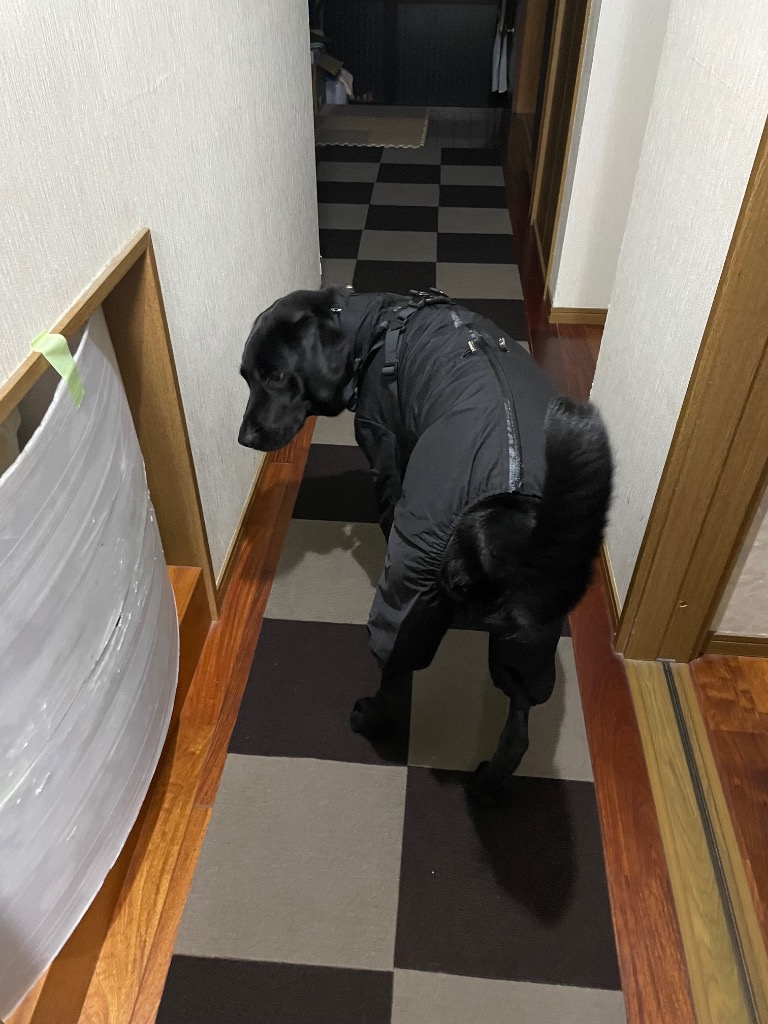 全体のレビュー画像 | 5-1