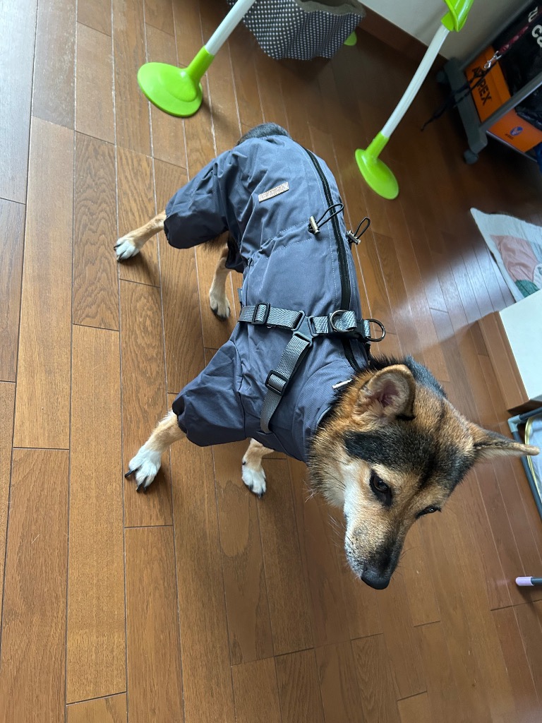 全体のレビュー画像 | 4-0