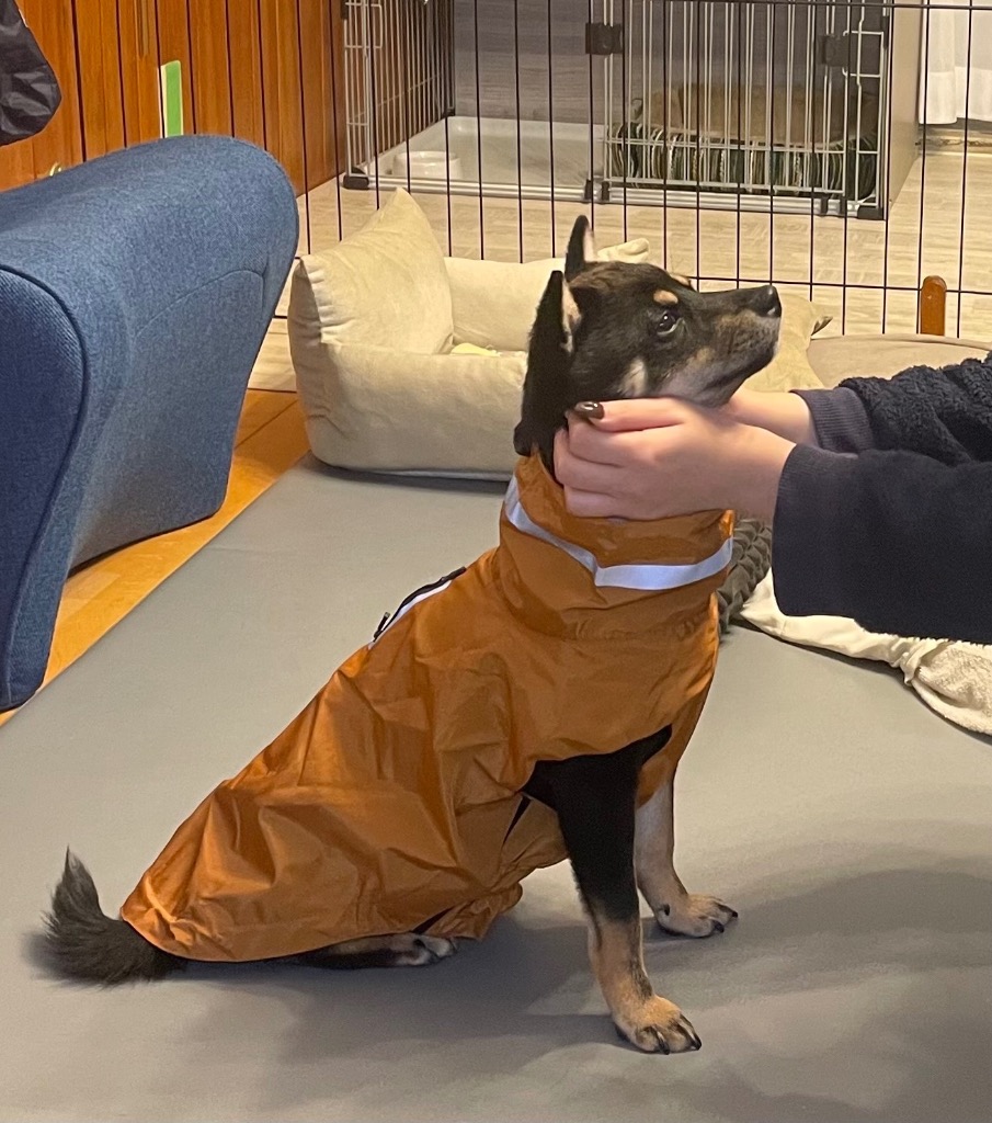 全体のレビュー画像 | 0-0