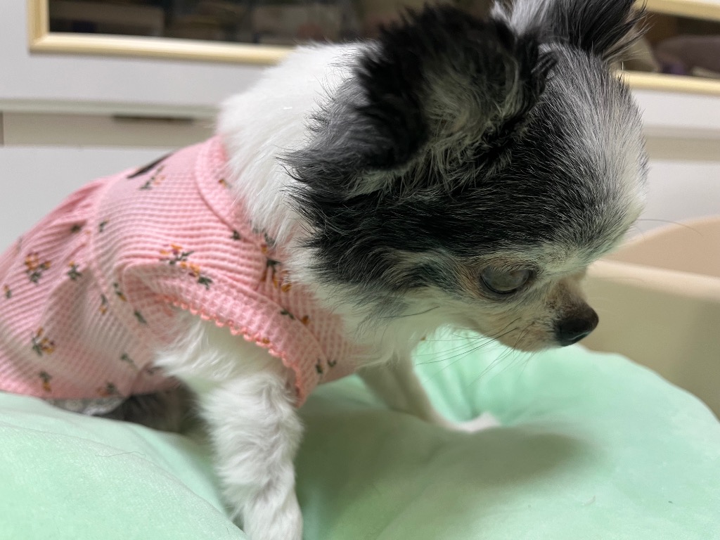 全体のレビュー画像 | 2-2