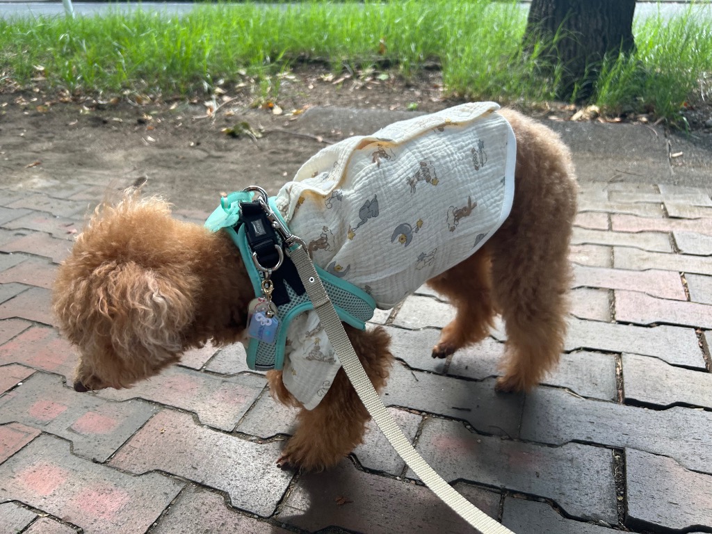 全体のレビュー画像 | 1-1