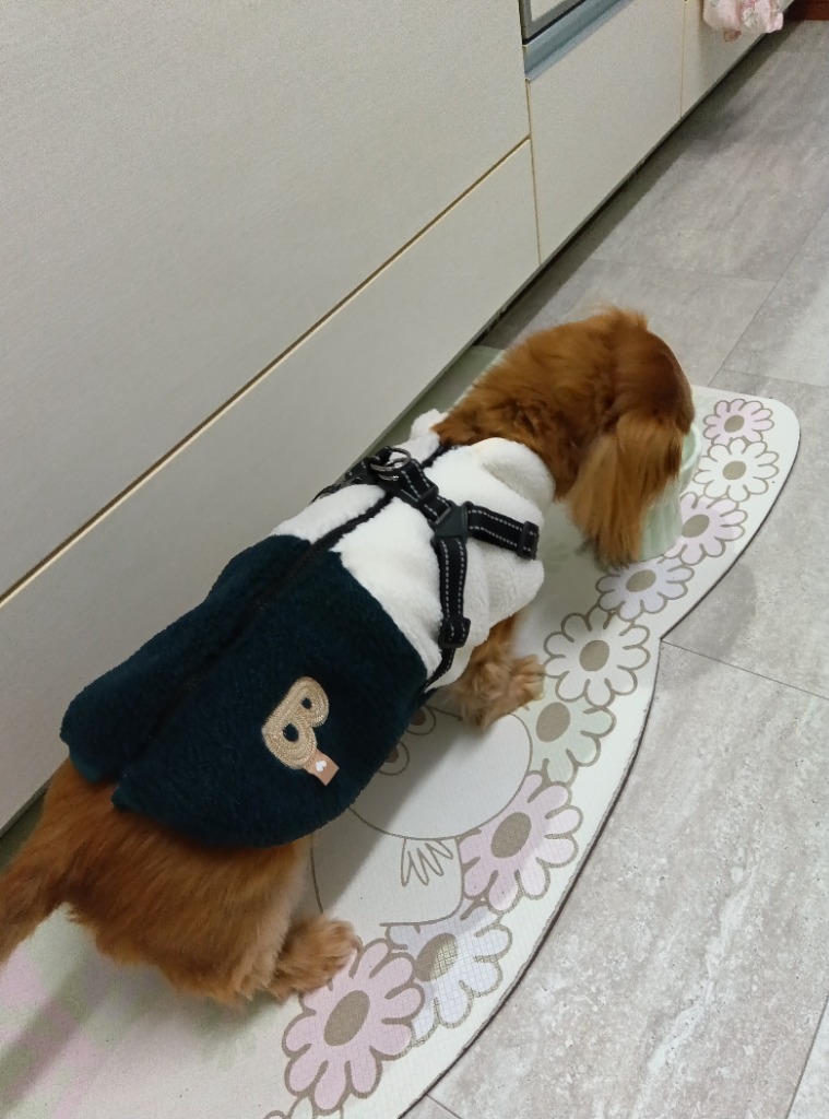 全体のレビュー画像 | 0-2