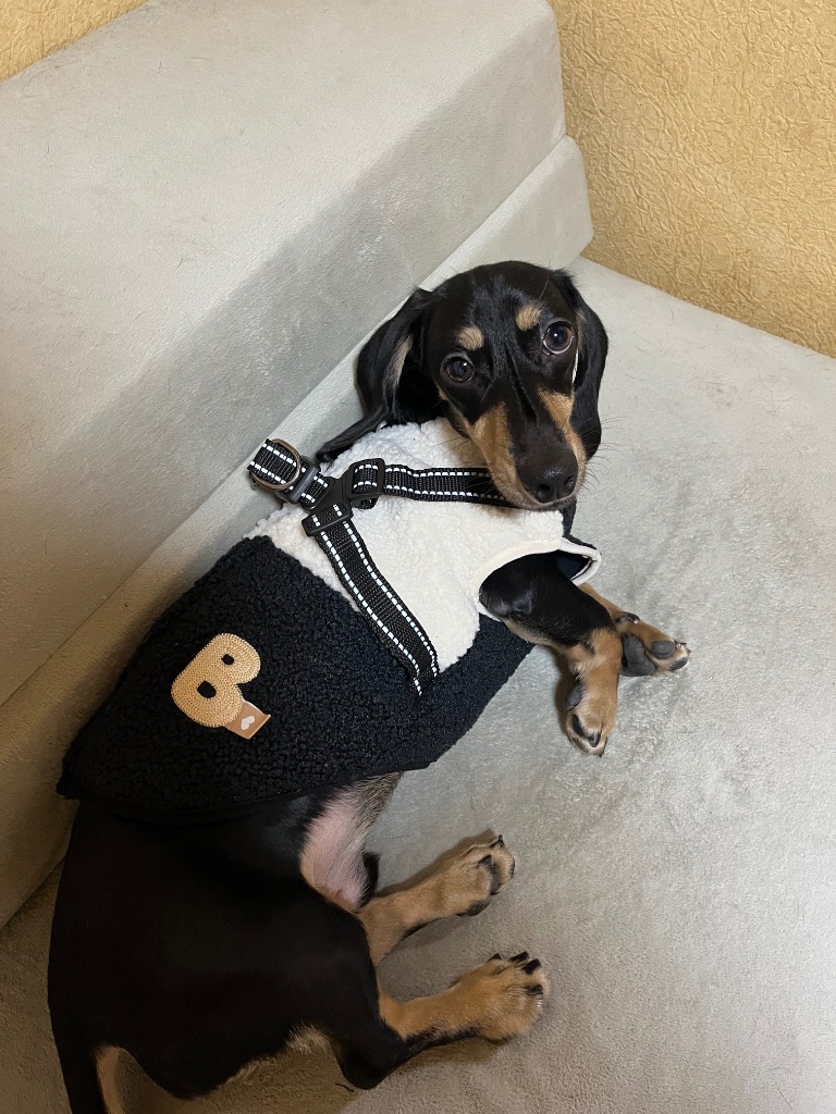 全体のレビュー画像 | 3-0