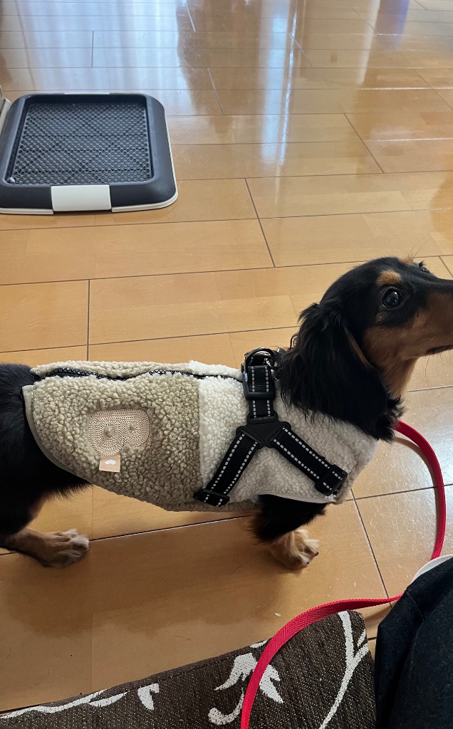 全体のレビュー画像 | 7-0