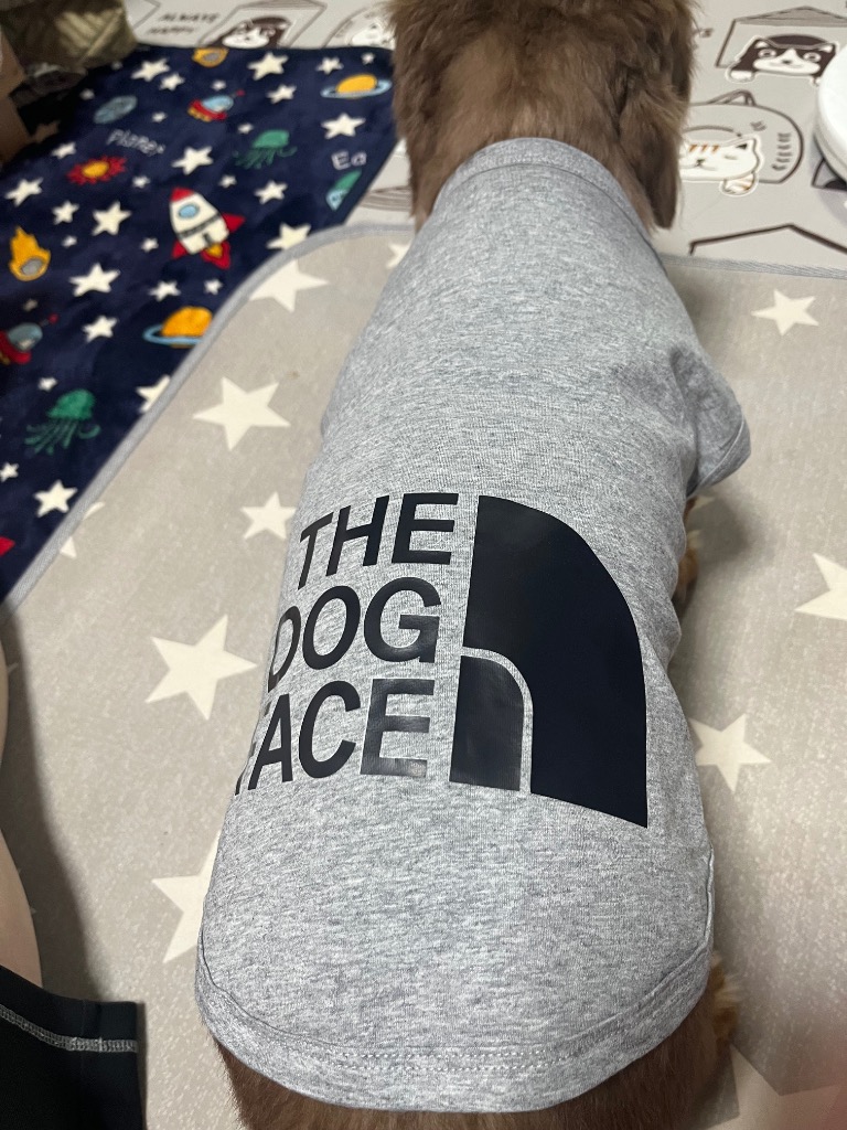 全体のレビュー画像 | 6-5