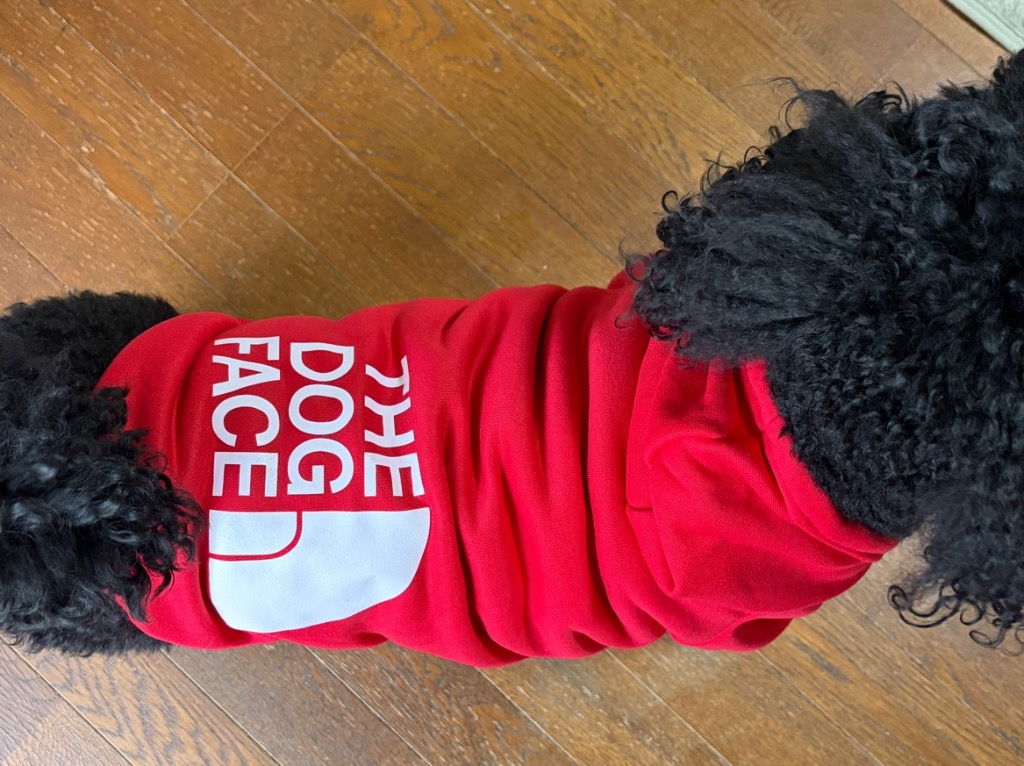 全体のレビュー画像 | 13-0