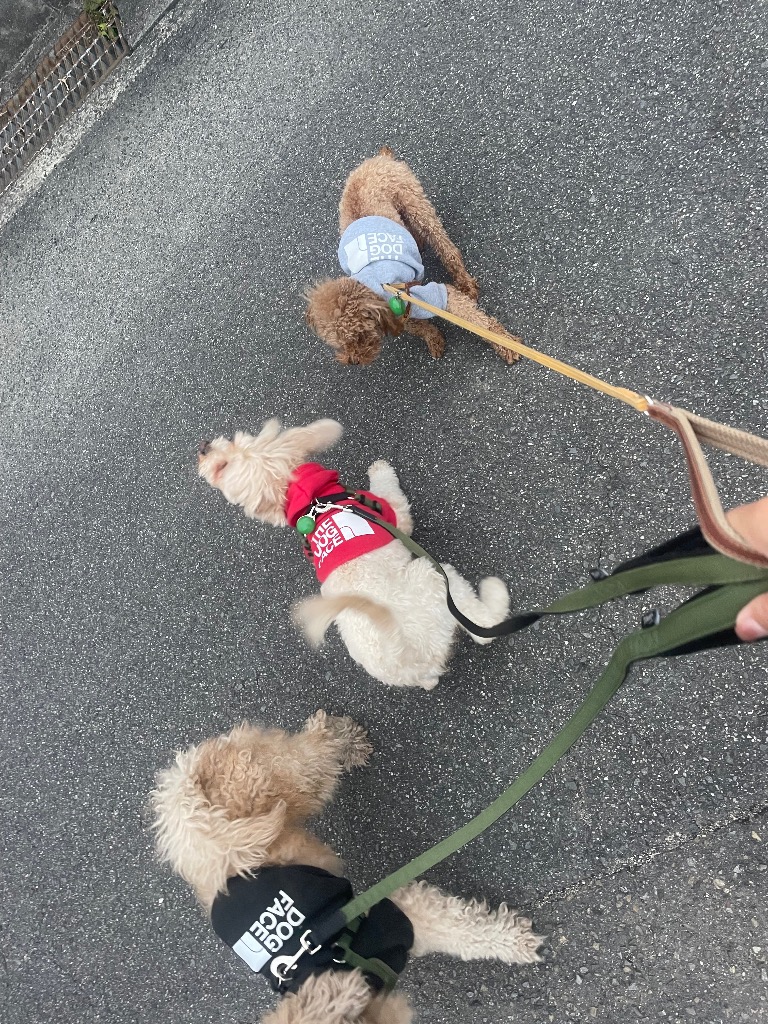 全体のレビュー画像 | 4-0