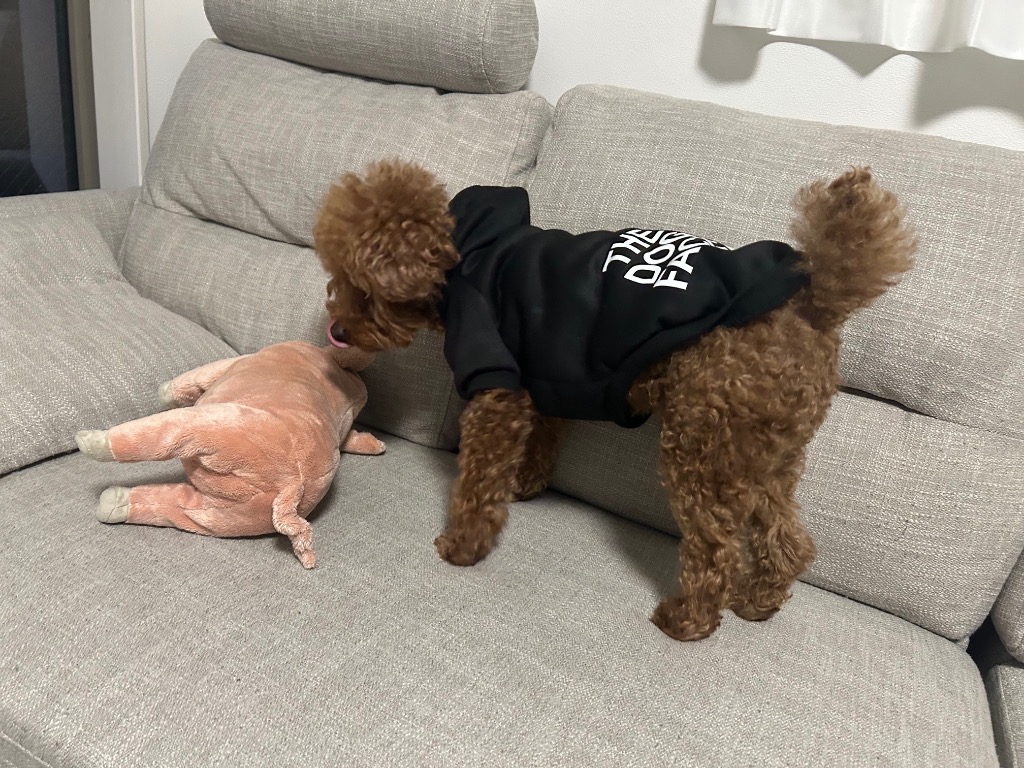 全体のレビュー画像 | 0-0