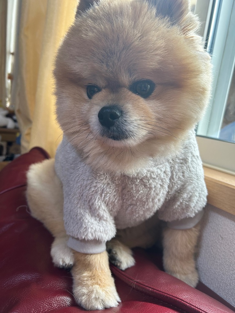 全体のレビュー画像 | 0-0