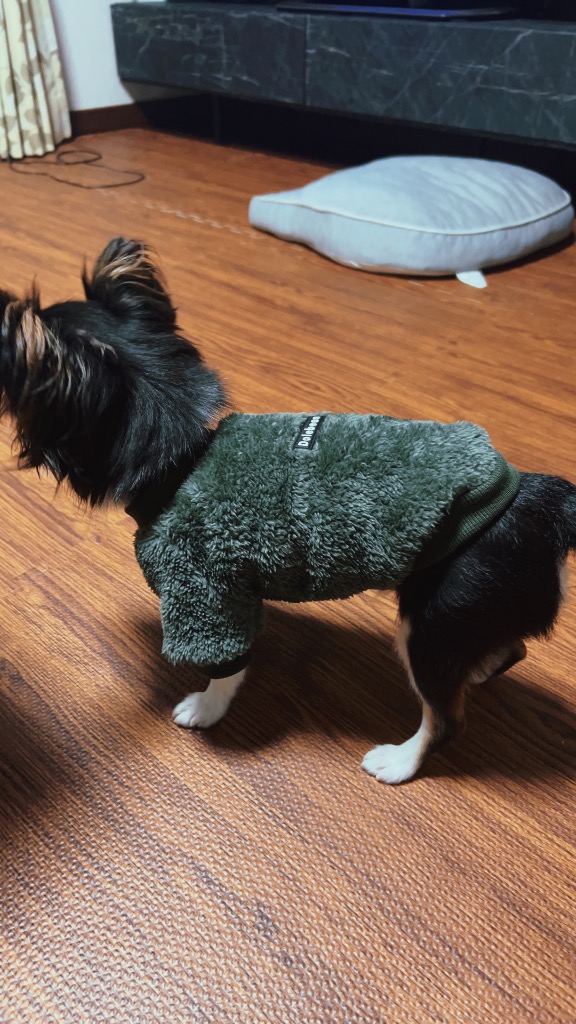 全体のレビュー画像 | 4-0