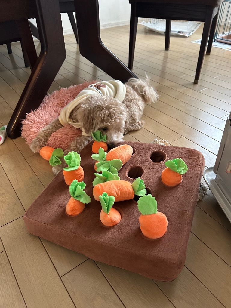 全体のレビュー画像 | 1-0